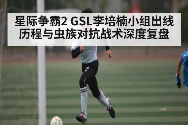 星际争霸2 GSL李培楠小组出线历程与虫族对抗战术深度复盘